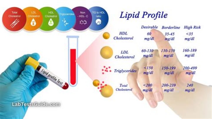 Advanced Lipid Testing When, Why, and In Whom: Essential Insights PDF