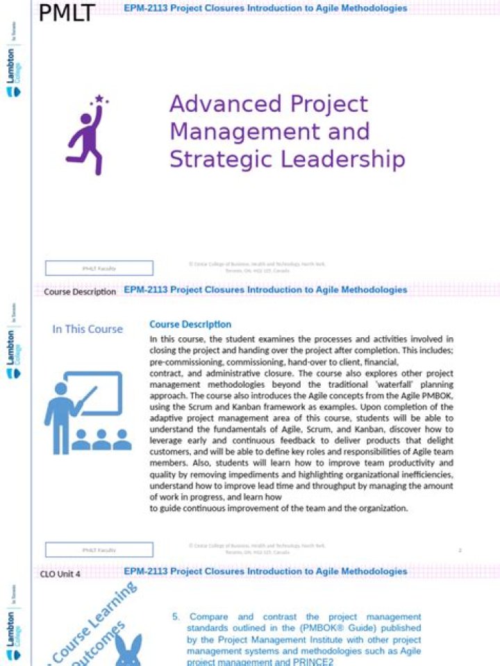 Advanced Project Management & Strategic Leadership: Essential PDF Guide
