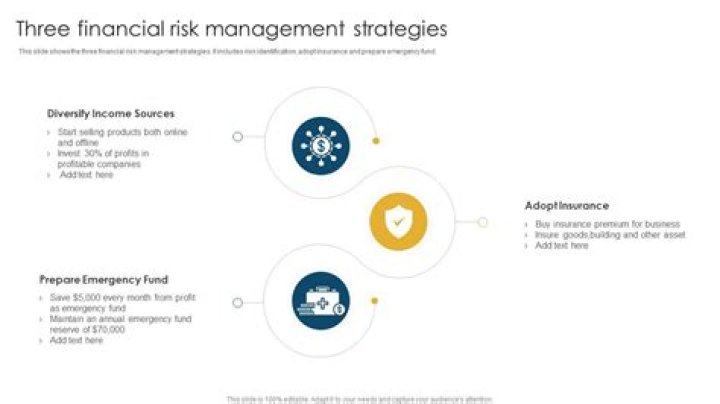 Advanced Strategies in Financial Risk Management: Expert PDF Guide