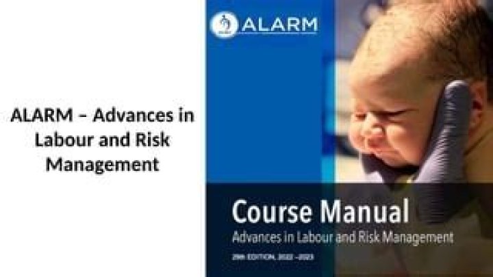 Advances in Labour and Risk Management: Essential PDF Guide