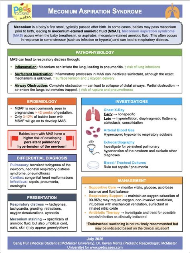 Advances in Meconium Aspiration Syndrome Management: Updated PDF Guidelines