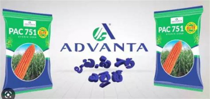 Advanta Seeds Price List PDF: Access Cost & Bulk Details