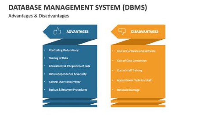 Advantages and Disadvantages of Database Management Systems PDF Guide