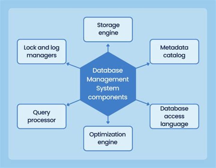 Advantages and Components of Database Management Systems – A Comprehensive PDF Guide