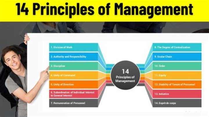 Advantages and Disadvantages of the 14 Principles of Management PDF: Key Insights