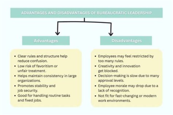 Advantages and Disadvantages of Bureaucratic Management Theory PDF
