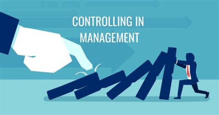 Advantages and Disadvantages of Controlling in Management: A PDF Guide
