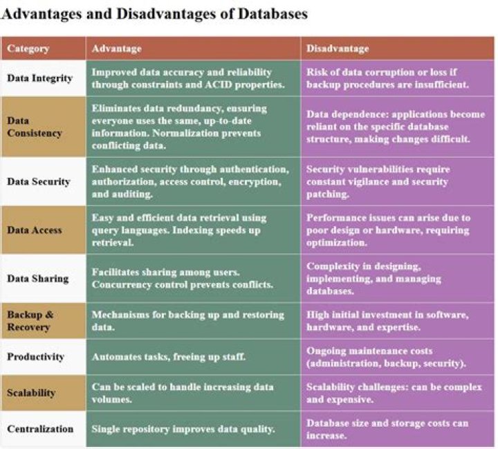 Advantages and Disadvantages of Database Management: PDF Guide