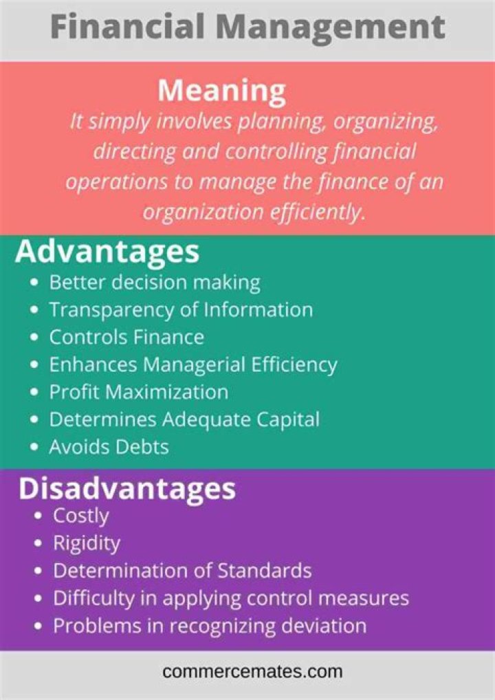 Advantages and Disadvantages of Financial Management PDF – Expert Analysis