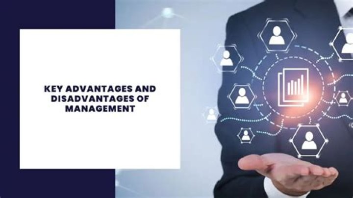 Advantages and Disadvantages of Project Management PDF: A Comprehensive Guide