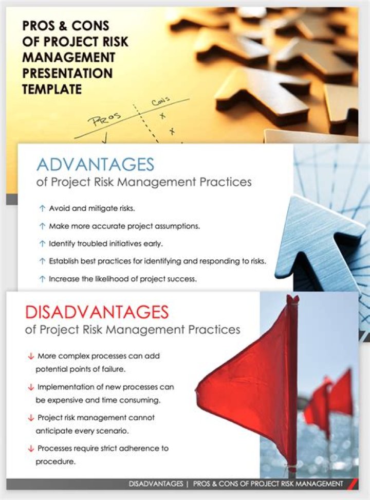 Advantages and Disadvantages of Risk Management PDF: Key Insights