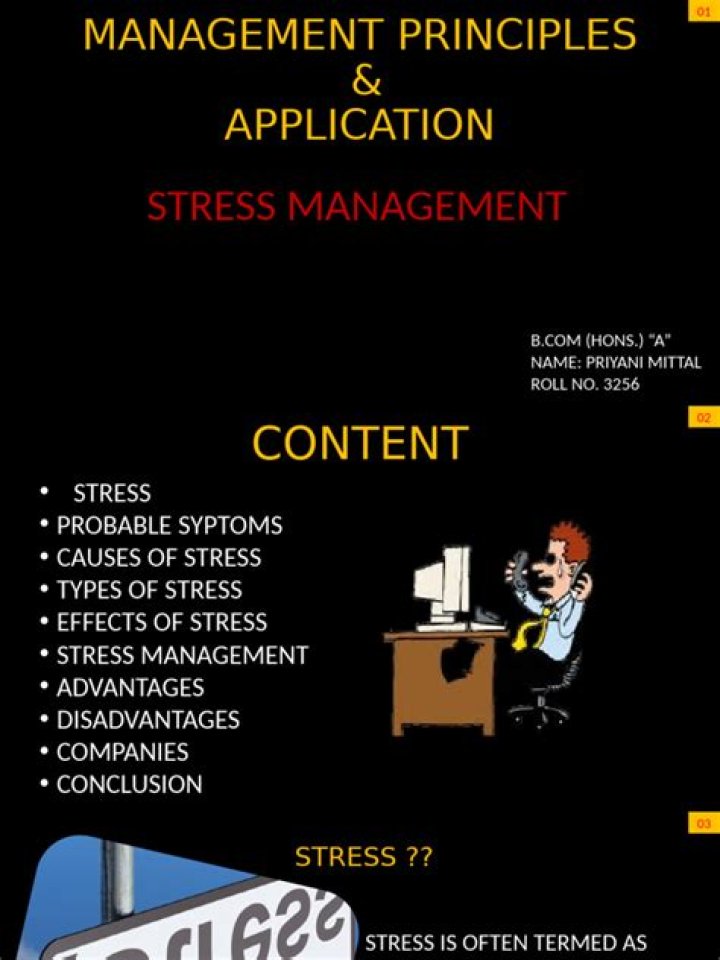 Advantages and Disadvantages of Stress Management PDF: Key Insights