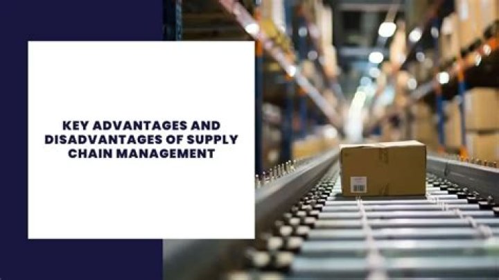 Advantages and Disadvantages of Supply Chain Management: A Comprehensive PDF Guide