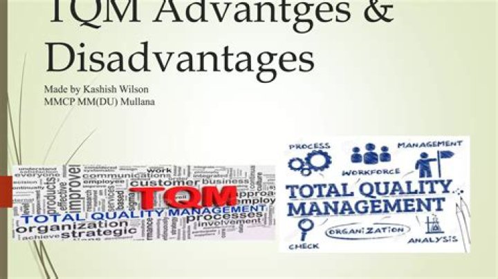 Advantages and Disadvantages of Total Quality Management PDF: Analyze Effectiveness