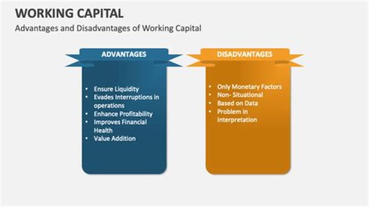 Advantages and Disadvantages of Working Capital Management PDF: Key Insights