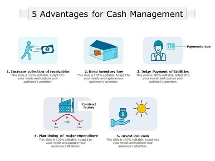 Unlock Hidden Advantages of Cash Management PDF for Smarter Finance