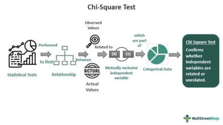 Unlock the Advantages of Chi Square Test PDF – Fast Statistical Analysis