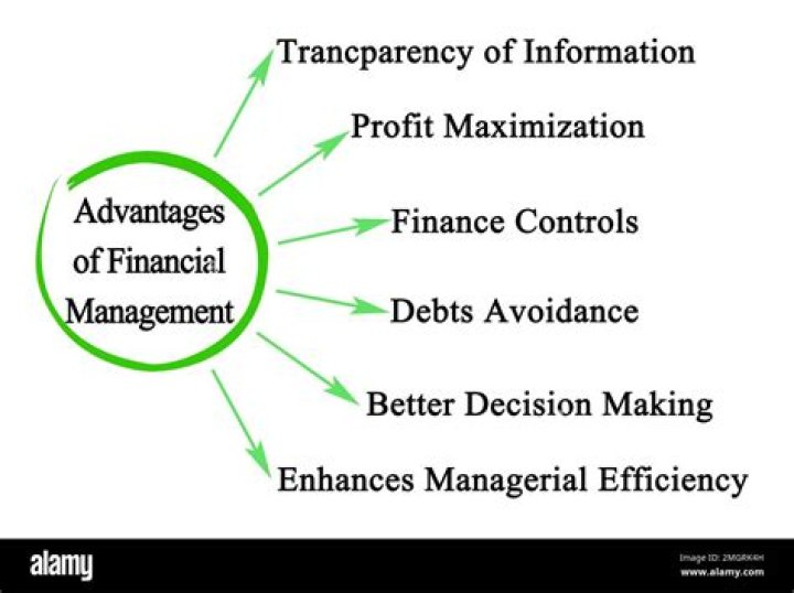 Unlock Key Financial Management PDF Advantages