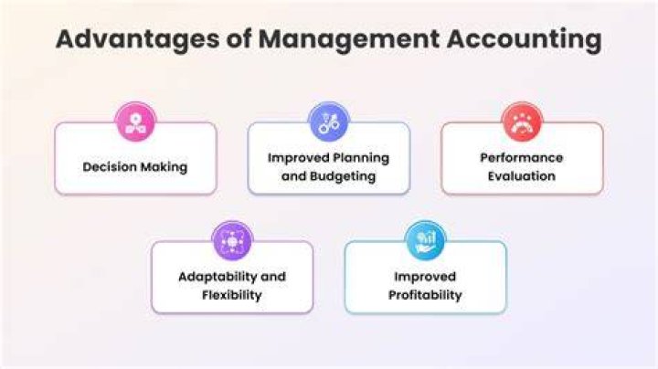 Maximize Efficiency with the Advantages of Management Accounting PDF