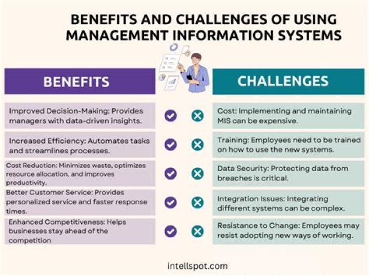 Unlock Key Advantages of Management Information System PDFs