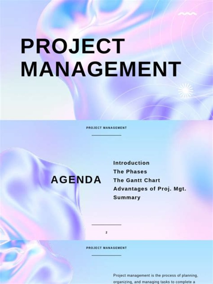Maximize Your Efficiency: Key Advantages of Project Management PDFs