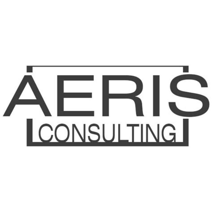 Aeris Consulting & Management PDF: Expert Strategies for Business Excellence