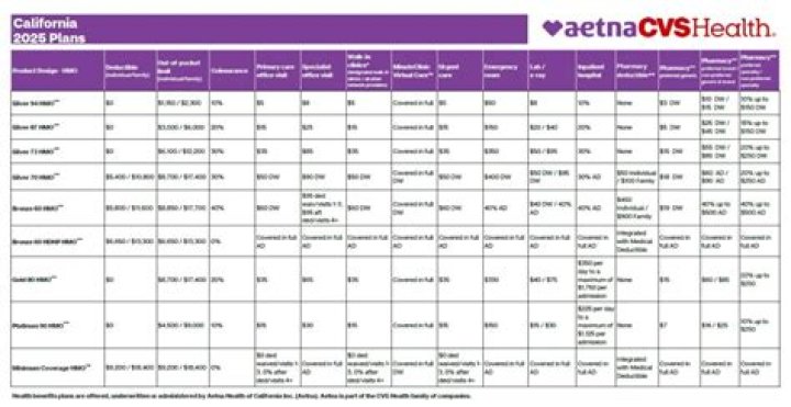 Aetna 2024 Health Plans Guide: All Info in One PDF