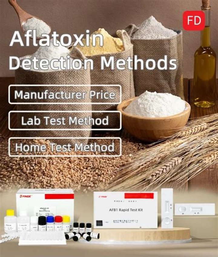 Aflatoxin Test Methods PDF: Accurate Lab Testing & Safety Guidelines