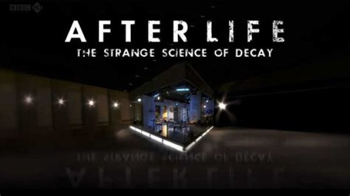 The Strange Science of Decay: Afterlife Answer Key PDF