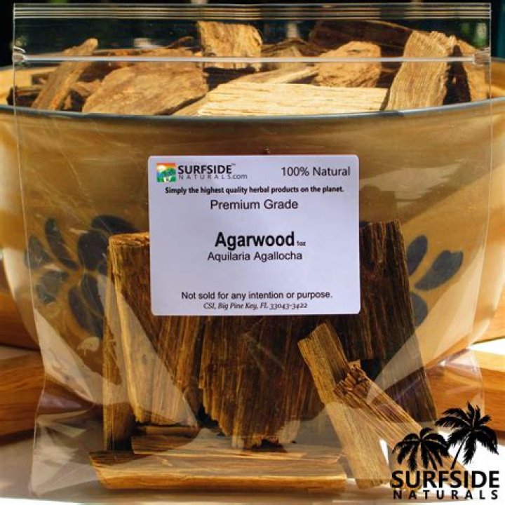 Agarwood Business Plan PDF: Step-by-Step Guide for Success