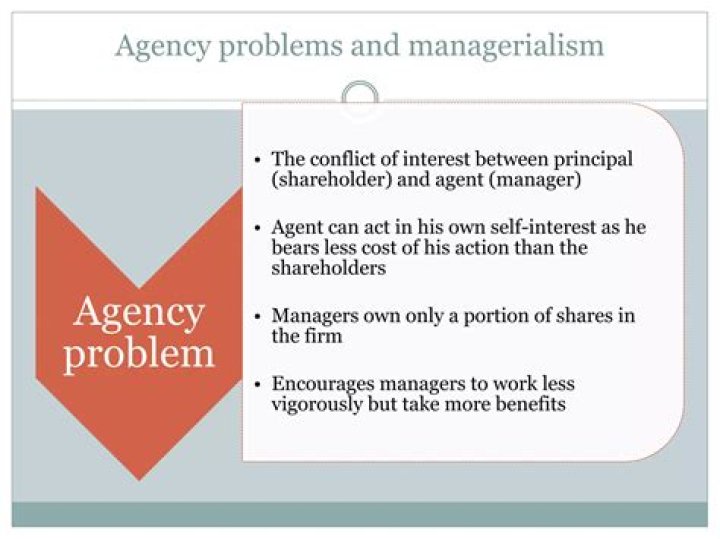 Understanding Agency Problems Between Managers and Shareholders: A PDF Analysis