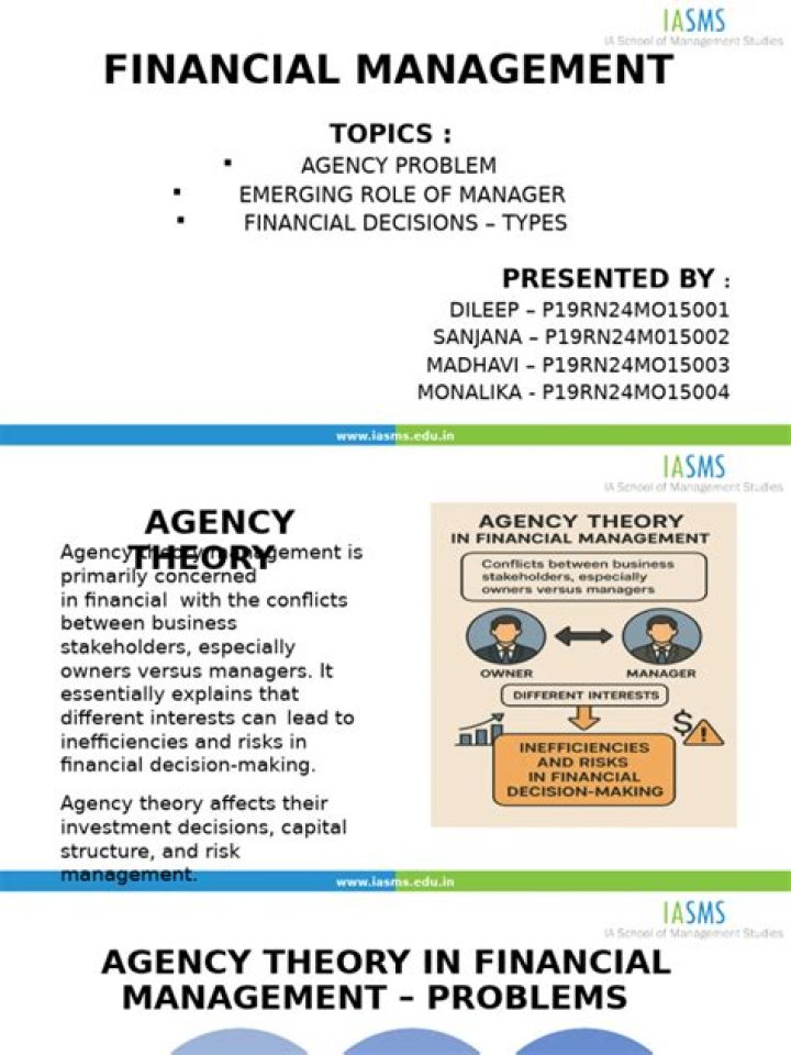 Agency Theory in Financial Management: Mastering Risk and Incentives