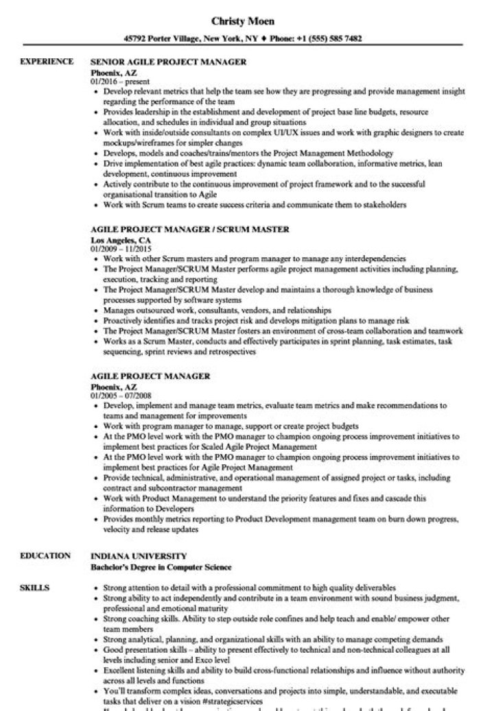 Agile Project Manager Resume PDF for Job Success