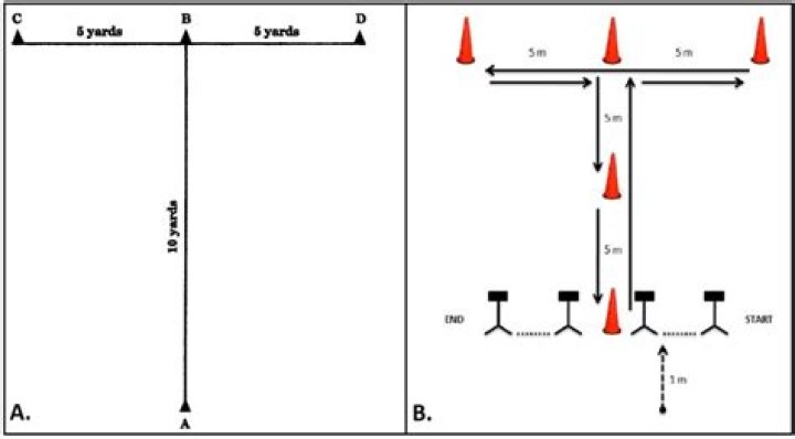 Agility T-Test PDF: Boost Your Physical Agility with Science-Backed Assessment