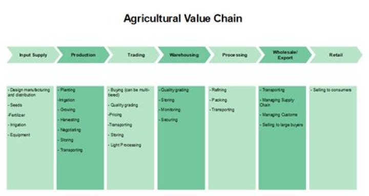 Mastering Agribusiness Value Chain Management: A Comprehensive PDF Guide