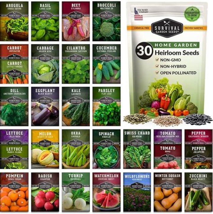 Agricol Seeds Price List PDF – Affordable Pricing for Quality Seeds
