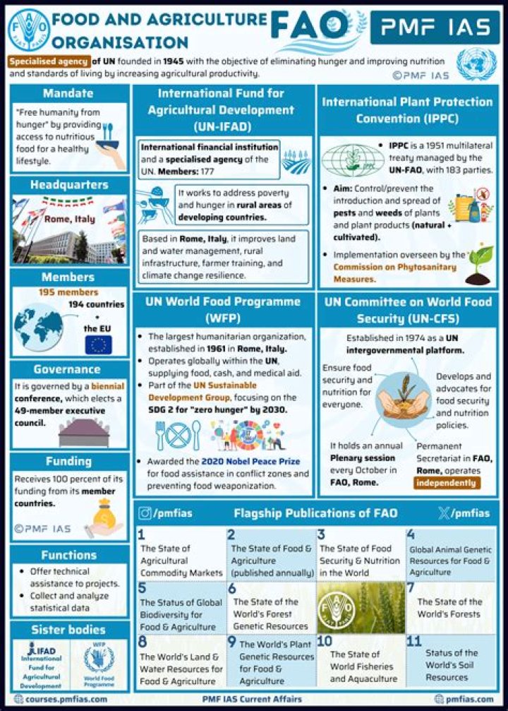 Agricultural and Food Marketing Management: Key FAO PDF Resources