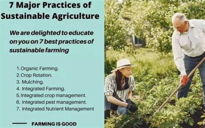 Agricultural Management Practices in Konso: Insights from Traditional Knowledge PDF