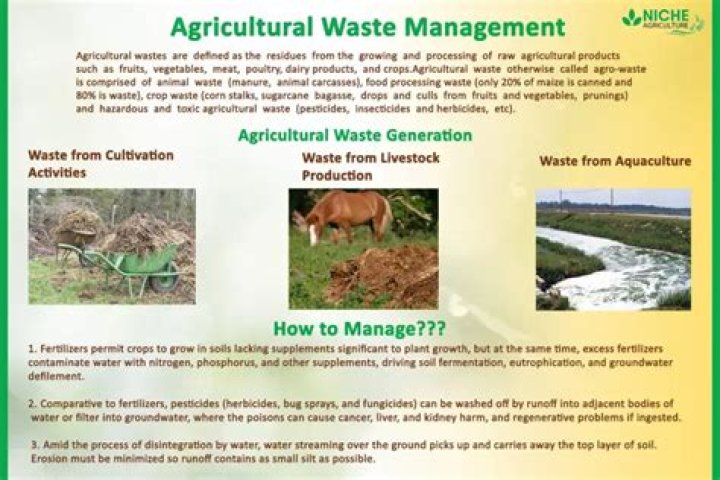 Comprehensive Guide to Agricultural Waste Management in India: A PDF Resource