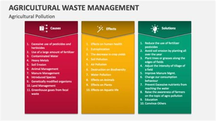 Agricultural Waste Management Problems, Processes, and Innovative Approaches PDF