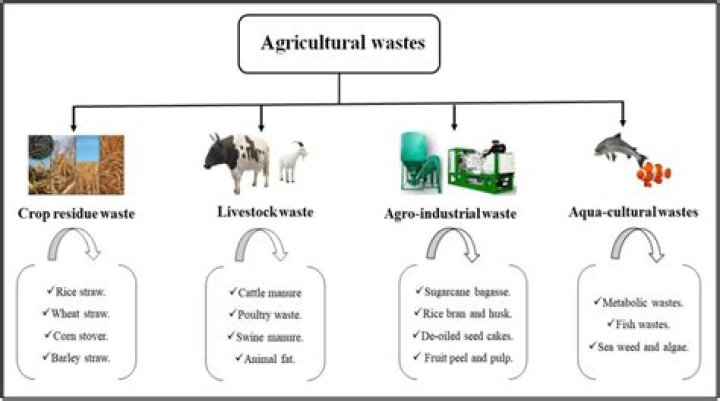 Agricultural Wastes: Types, Characteristics, and Sustainable Management PDF