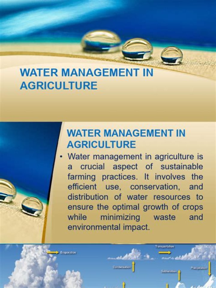 Essential Guide to Agriculture Water Management: PDF for Sustainable Farming
