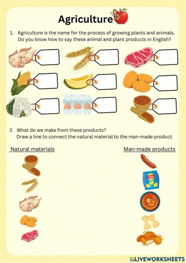 Agriculture Worksheets for High School PDF – Free Printable Lessons