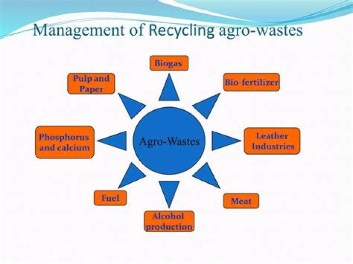 Agro Waste Management PDF: Effective Solutions & Sustainable Practices
