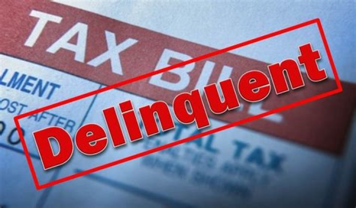 Aiken County 2024 Delinquent Tax Sale List PDF - Official Public Record