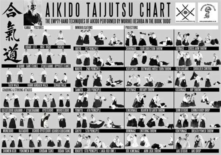 Aikido Techniques List PDF: Master Basic Moves & Exercises