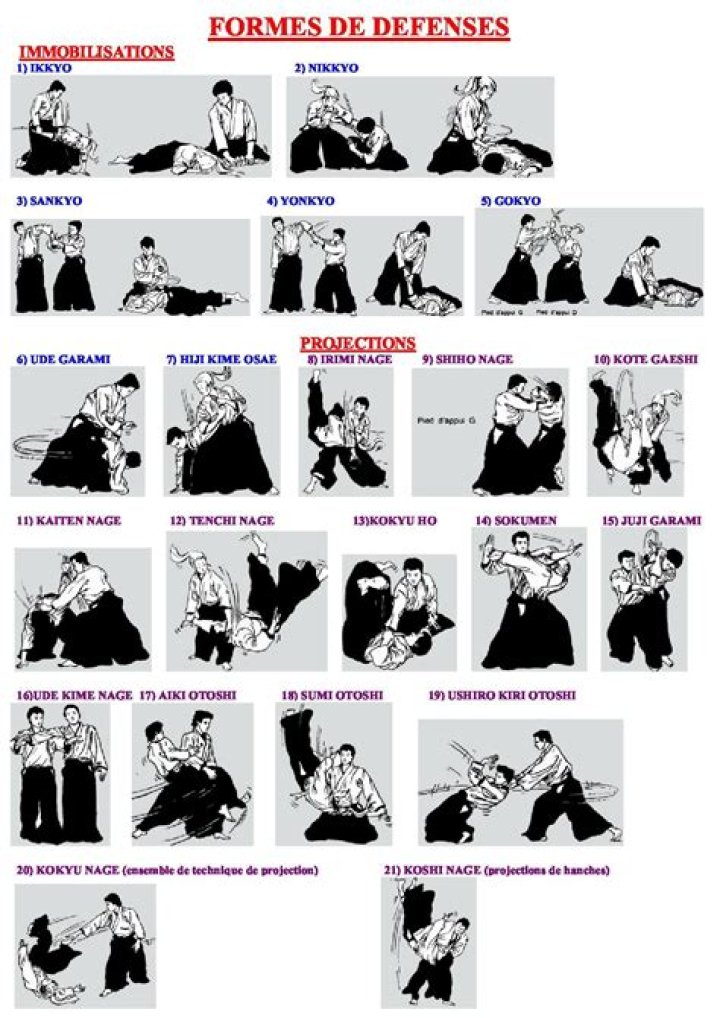 Aikido Techniques Names List PDF – Master Basic Moves & Forms