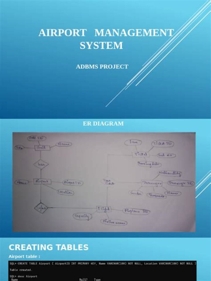 Efficient Airport Management System PDF Guide