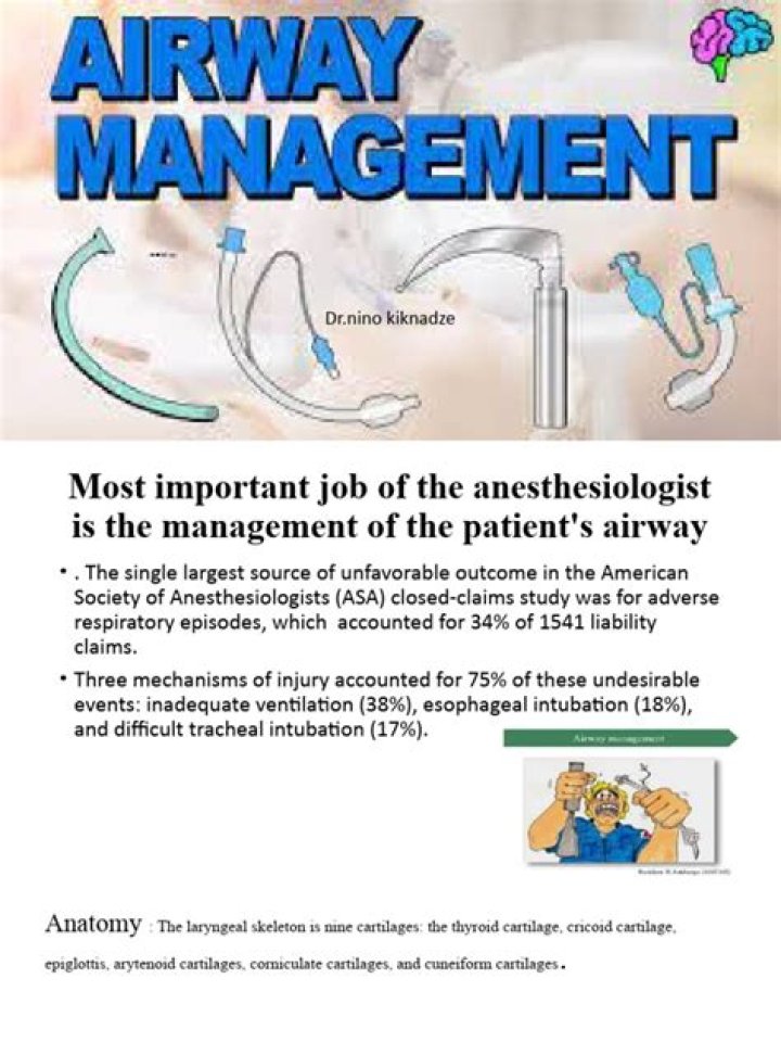 Airway Management Adalah PDF: Peta Prioritas & Panduan Cepat