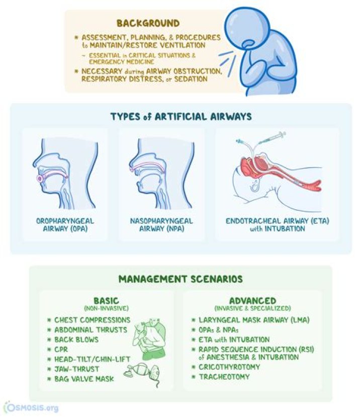 Airway Management & Artificial Ventilation: Essential Respiration Protocols in PDF